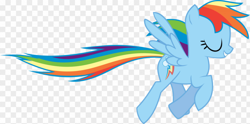 Woo Rainbow Dash Pony Flight PNG