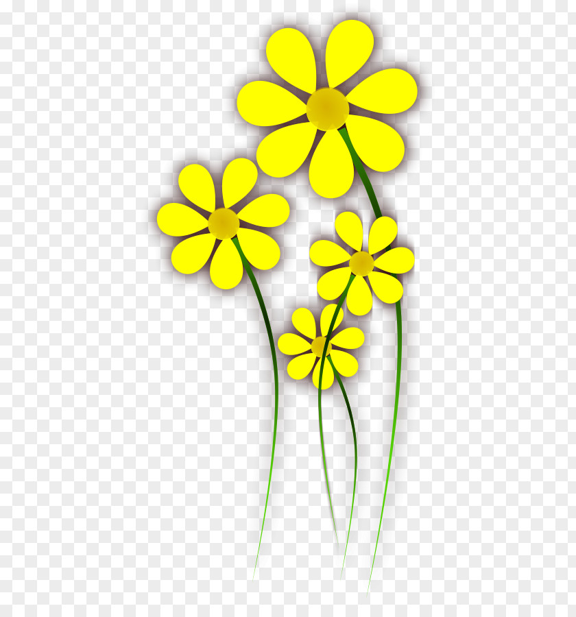 Flower Yellow Color Clip Art PNG