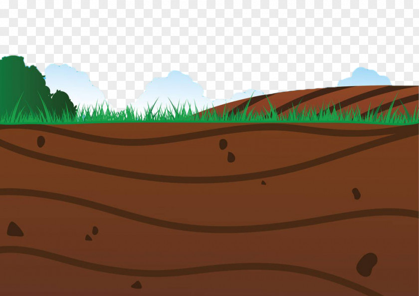 Hand Painted Land Profile Illustration PNG