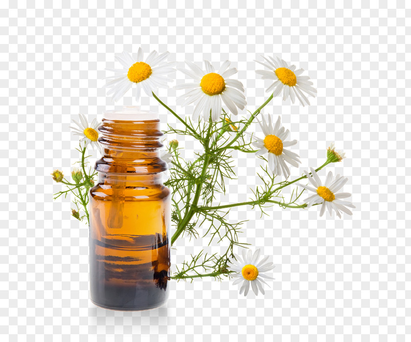 Romaine Essential Oil Roman Chamomile Vegetable Bottle PNG