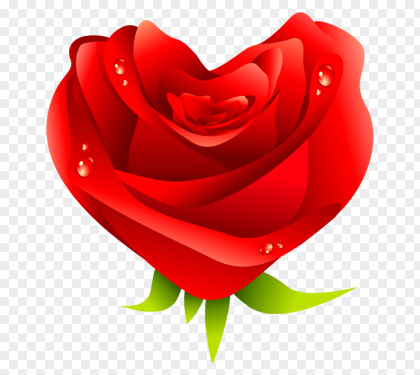 Rose Love Heart Valentines Day PNG