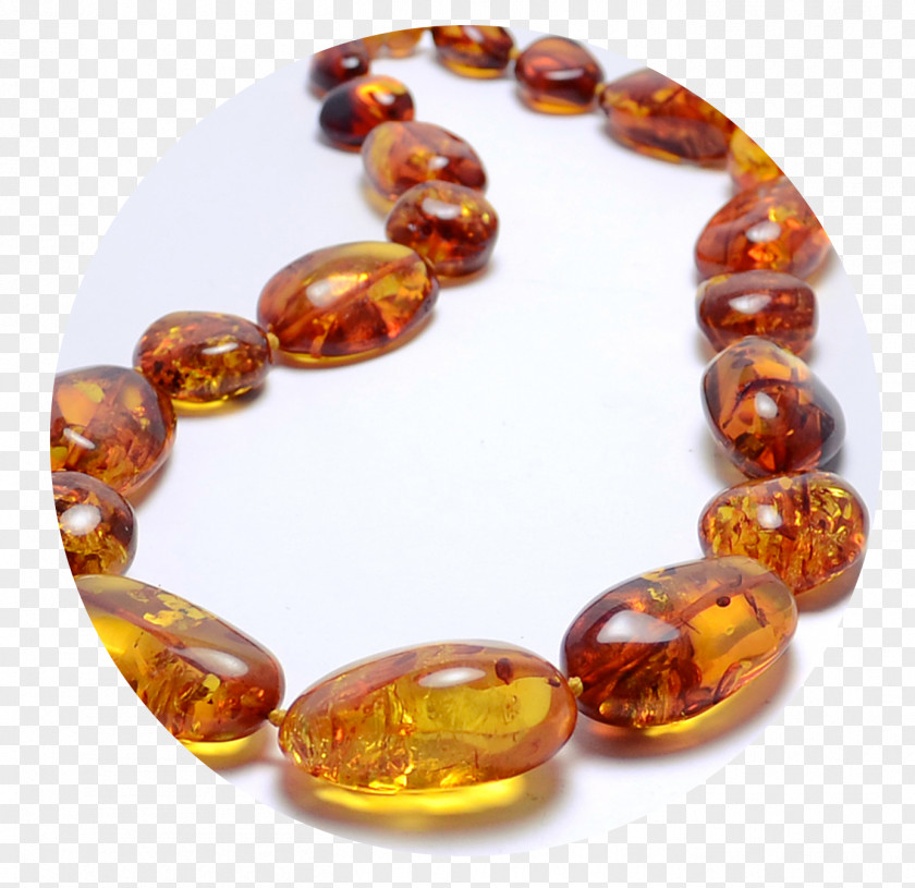 Amber Baltic Necklace Jewellery Gold PNG