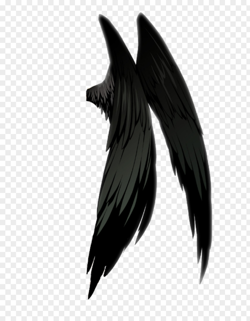 Angel Demon Devil PNG