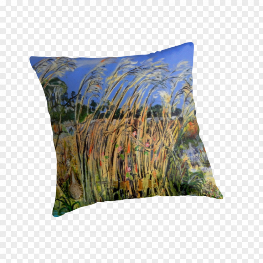 Bittern Throw Pillows Cushion PNG