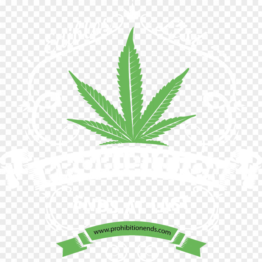 Cannabis Cannabidiol Hemp Illustration Vector Graphics PNG
