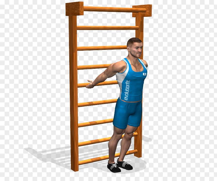 Design Shoulder Parallel Bars PNG