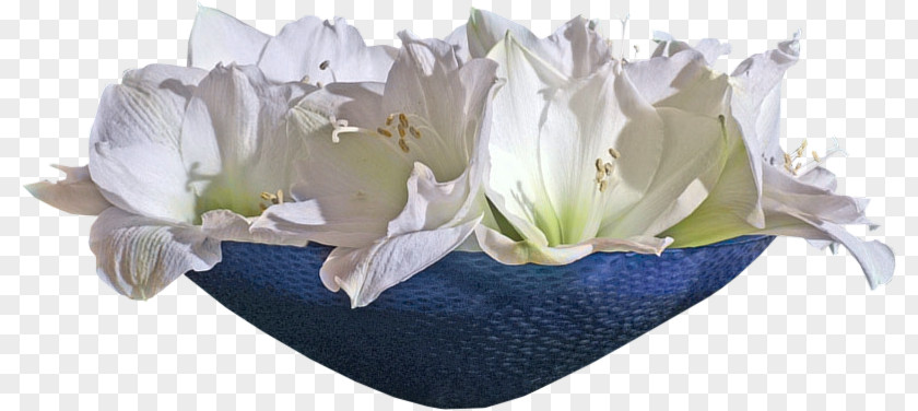 Flower Floral Design Cut Flowers Bouquet Blog PNG