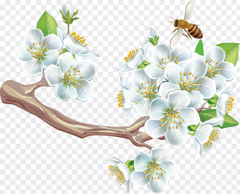 Spring Flower Adobe Acrobat Clip Art PNG