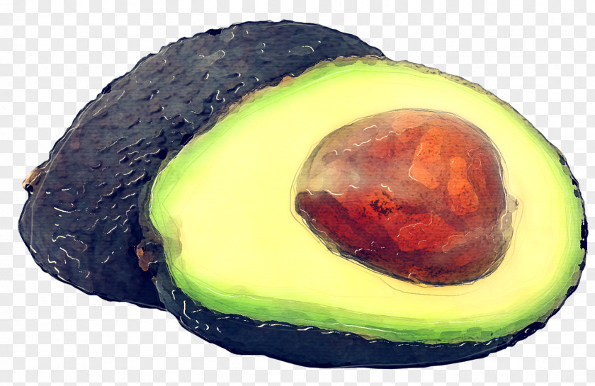 Superfood Plant Avocado PNG