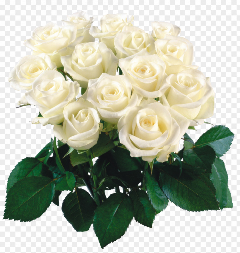 White Rose Desktop Wallpaper Flower Bouquet PNG