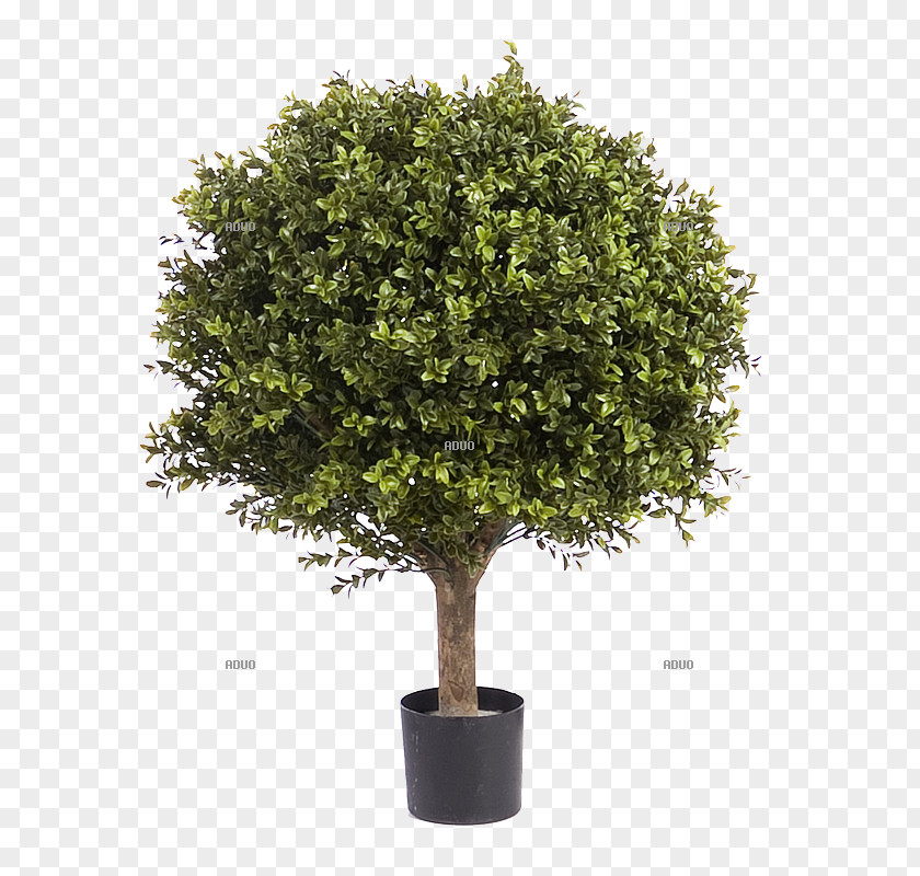 Broken Pot Tree Flowerpot Artificial Flower Olive PNG