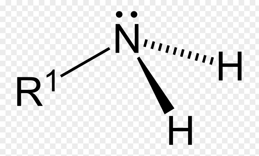 Carbon Disulfide Hydrolase Ammonium Nitrate Ammonia Chemical Formula PNG