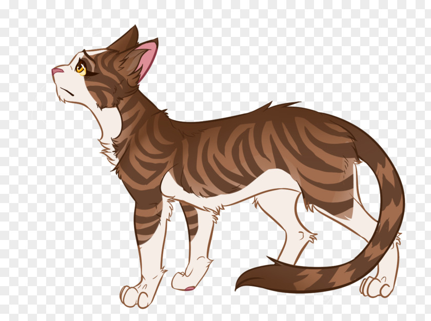 Cat Whiskers Tiger Leafpool Warriors PNG