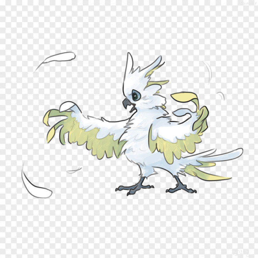 Chicken Beak Illustration Clip Art Feather PNG