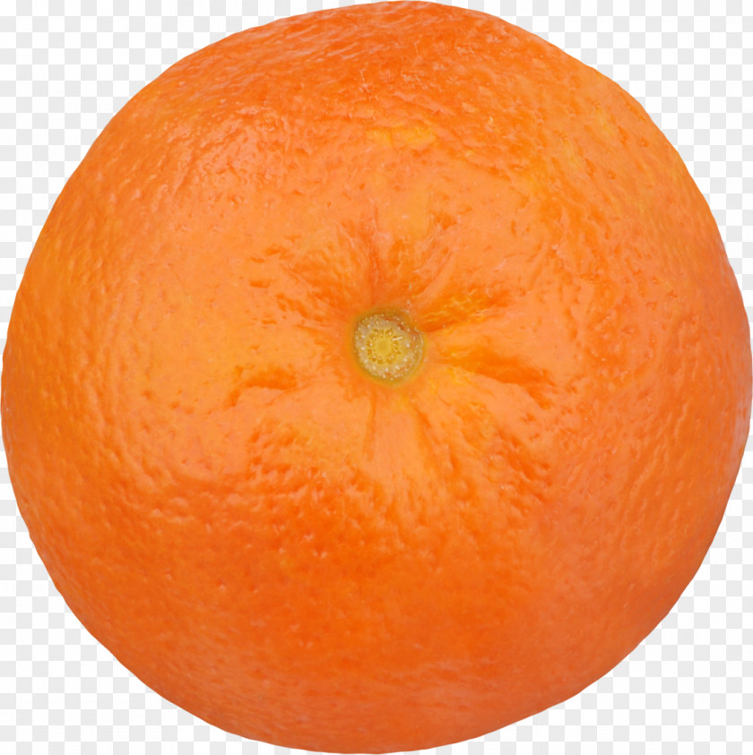 Clementine Mandarin Orange Stock Photography Tangerine Tangelo PNG