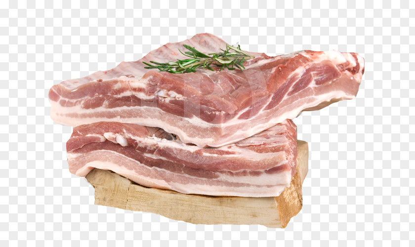 Ham Domestic Pig Back Bacon Prosciutto Capocollo PNG