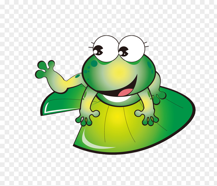 Painted Frog Toad Illustration PNG