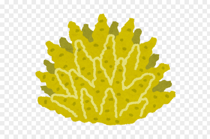 Post It Yellow Coral Reef Waifu Gemstone Mustard PNG