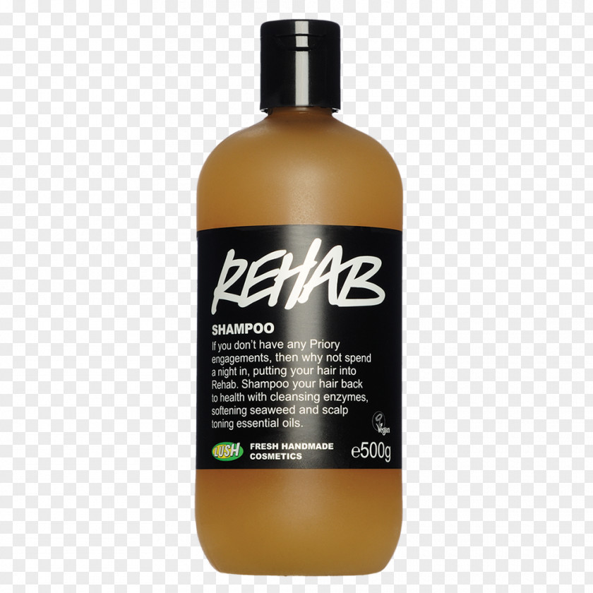 Shampoo Lush Shower Gel Hair Conditioner Care PNG