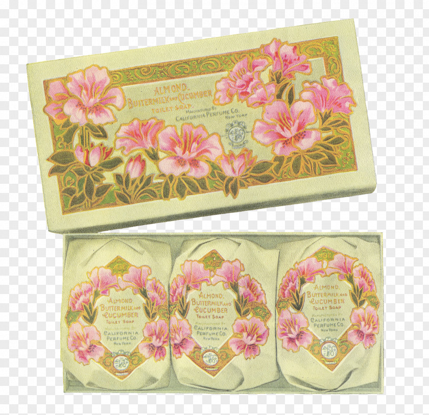 Soap Box Floral Design Pink M Rectangle PNG