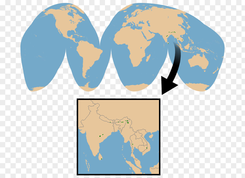 Water Buffalo World Map Globe Blank PNG