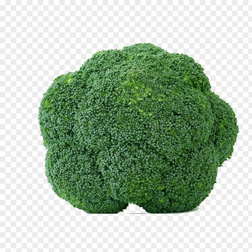 Broccoli Organic Food Leaf Vegetable PNG