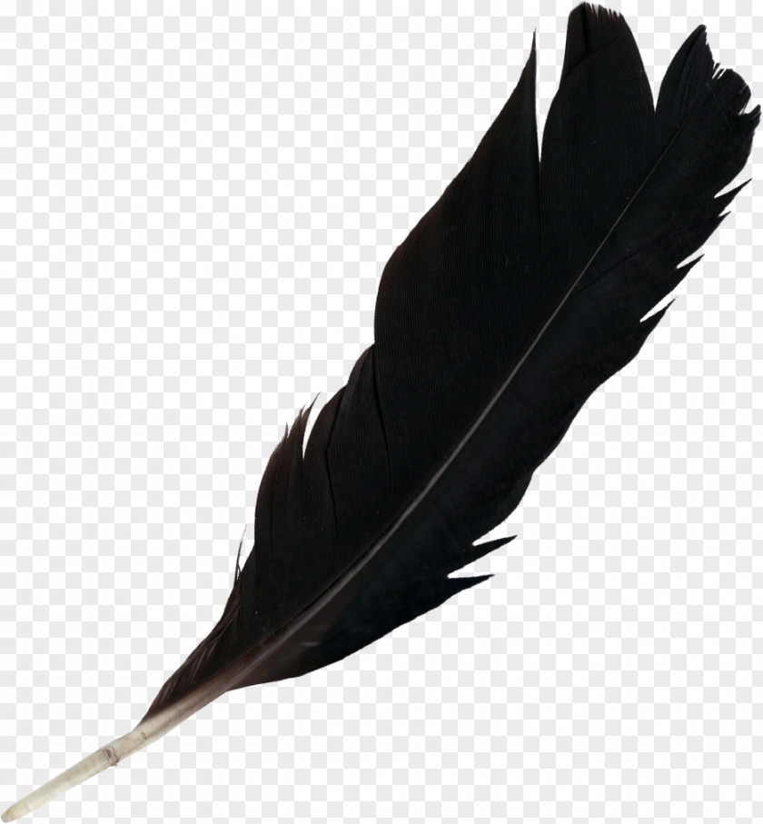 Feather Light PNG