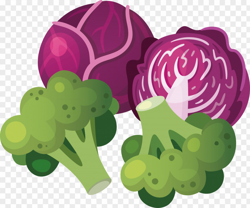 Healthy Vegetable Spinach Decoration Grape Food PNG