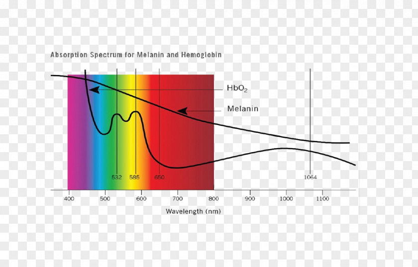 Light Absorption Melanin Hemoglobin Spectrum PNG