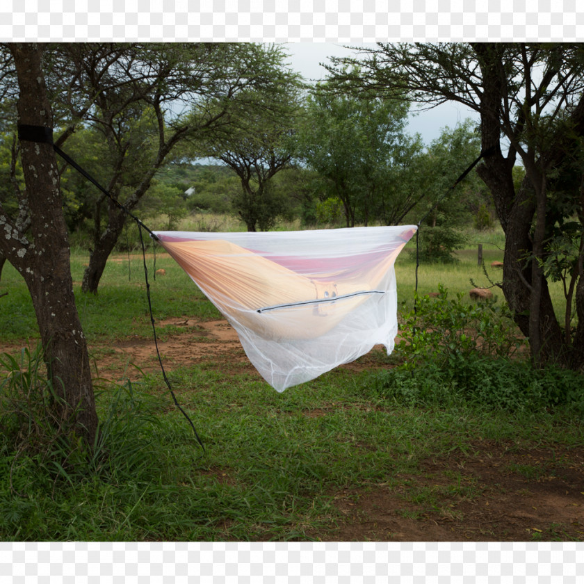 Mosquito Net Nets & Insect Screens Hammock Sleep PNG
