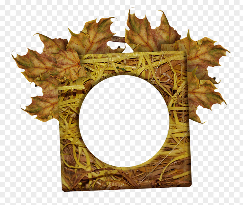 Picture Frames Autumn Season Image Ornament PNG