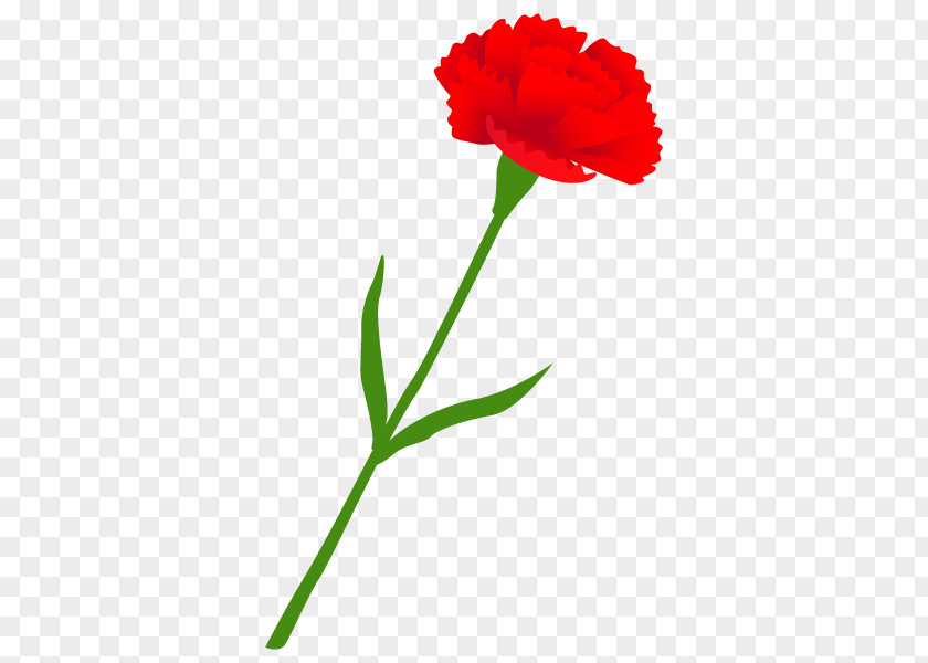 Carnation Vacuum Cleaner HEPA Home Appliance Flower PNG