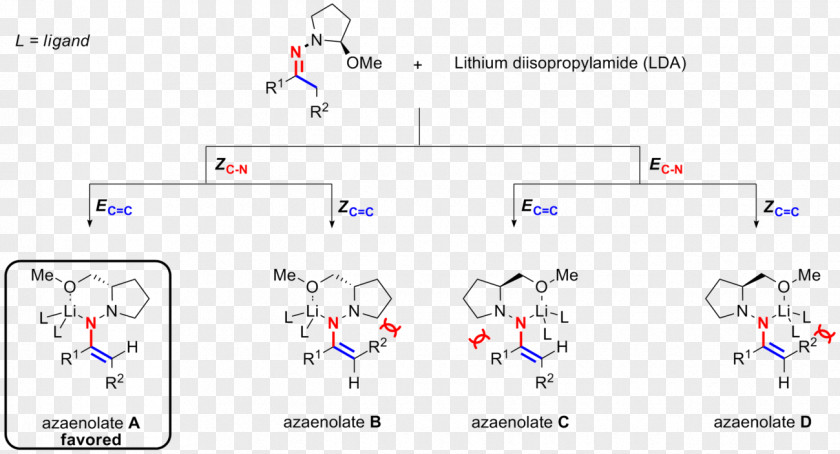 Enders SAMP/RAMP Hydrazone-alkylation Reaction Chiral Auxiliary Pyrrolidine PNG