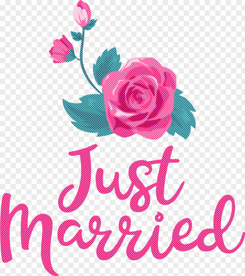 Just Married Wedding PNG