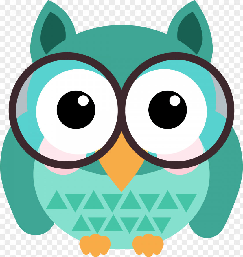 Owl Bird Tutorat Clip Art PNG