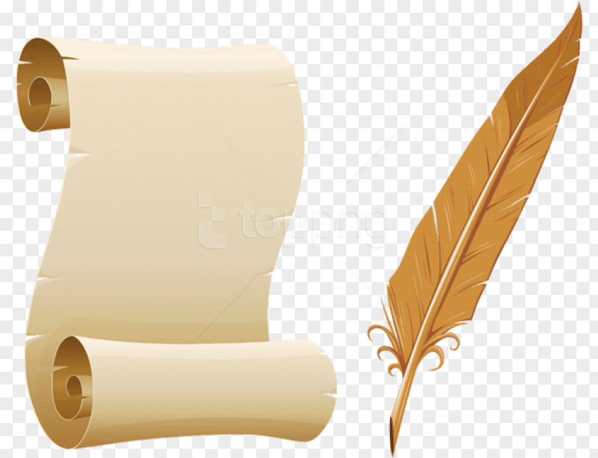 Scroll Transparent Background Diploma Paper Quill Parchment Clip Art PNG