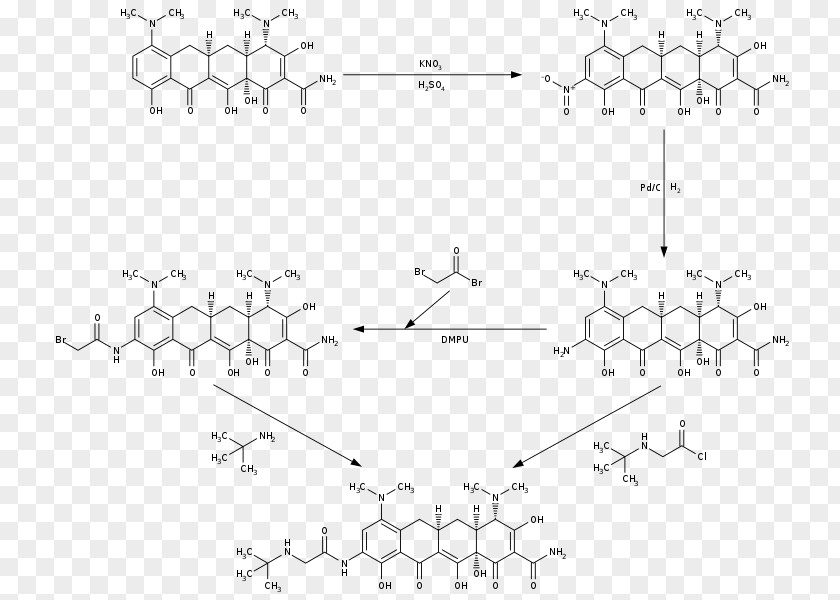 Synthesis Wikimedia Commons Foundation Thumbnail PNG