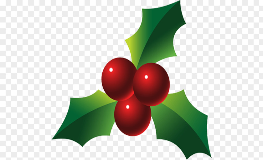 Christmas Holly Clip Art PNG