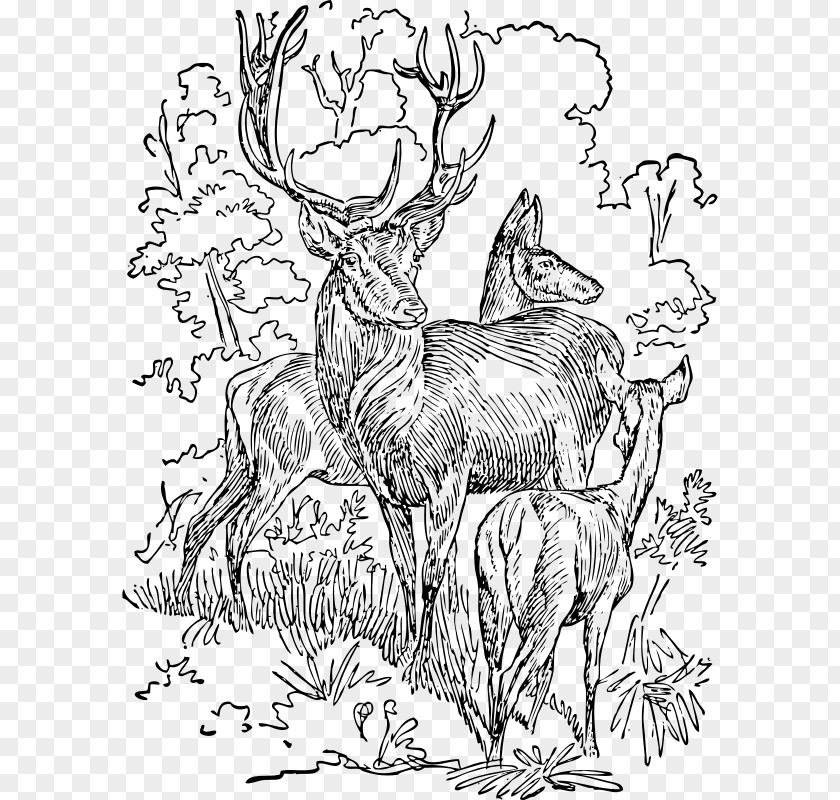Deer Barasingha Clip Art PNG