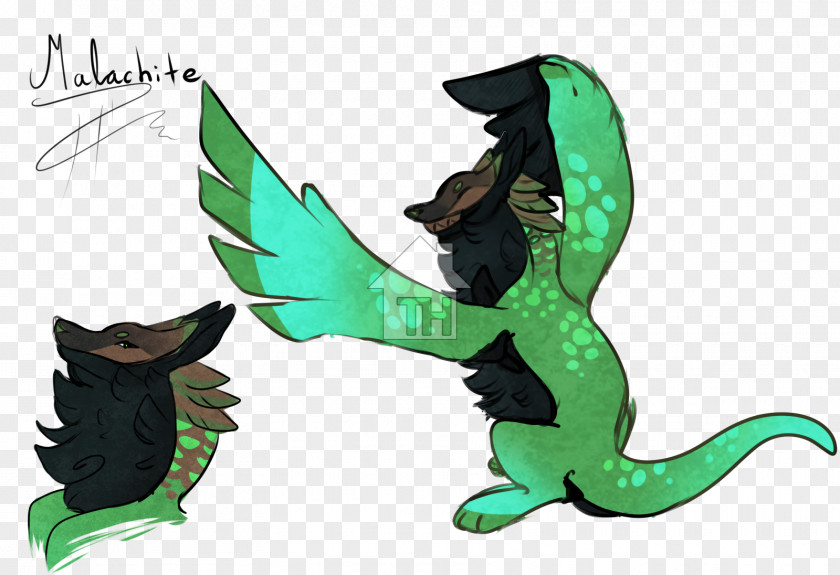 Dragon Reptile Amphibians Cartoon PNG