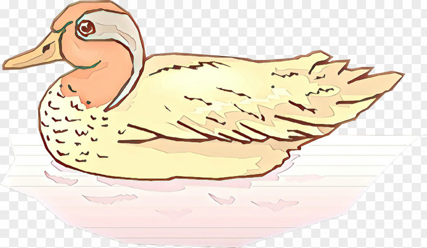 Duck Clip Art Illustration Food Beak PNG