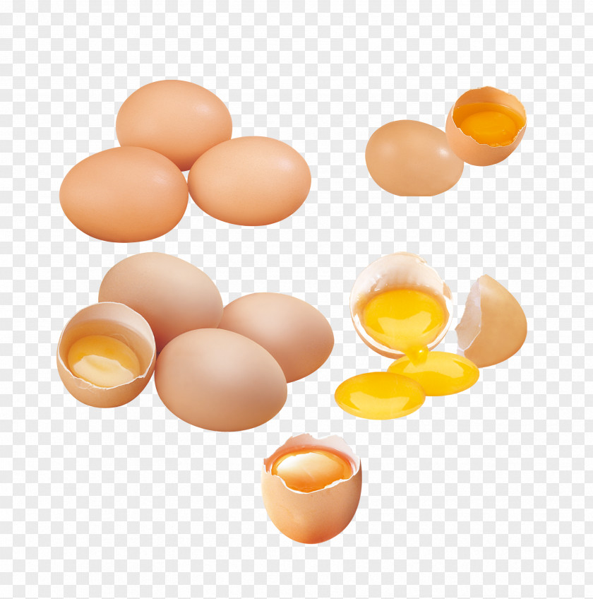 Egg Yolk Chicken Eggshell PNG