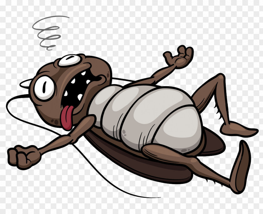 Fainted Cockroach Insect Cartoon Clip Art PNG