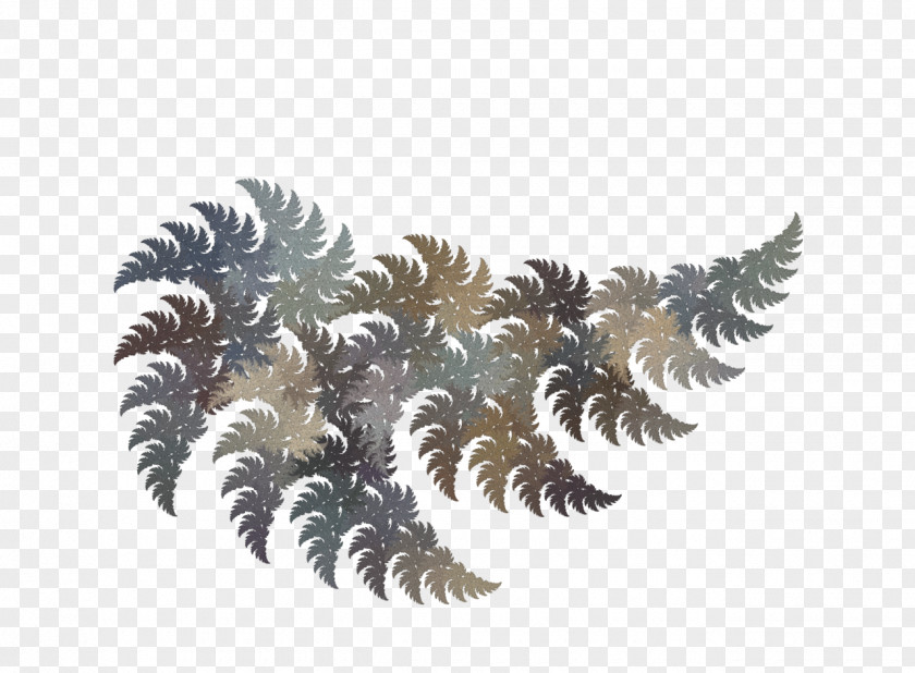 Leaf Pine Conifer Cone Clip Art PNG