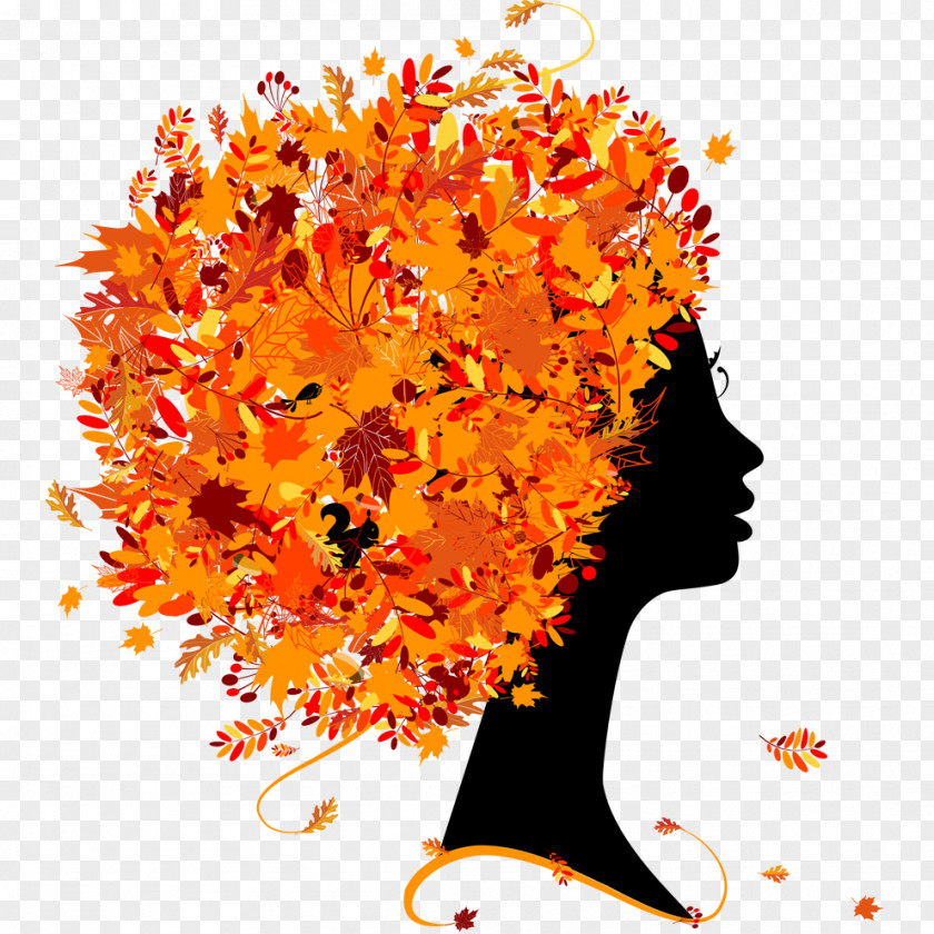 Leaves Flowers Silhouettes Season Autumn Summer Royalty-free PNG