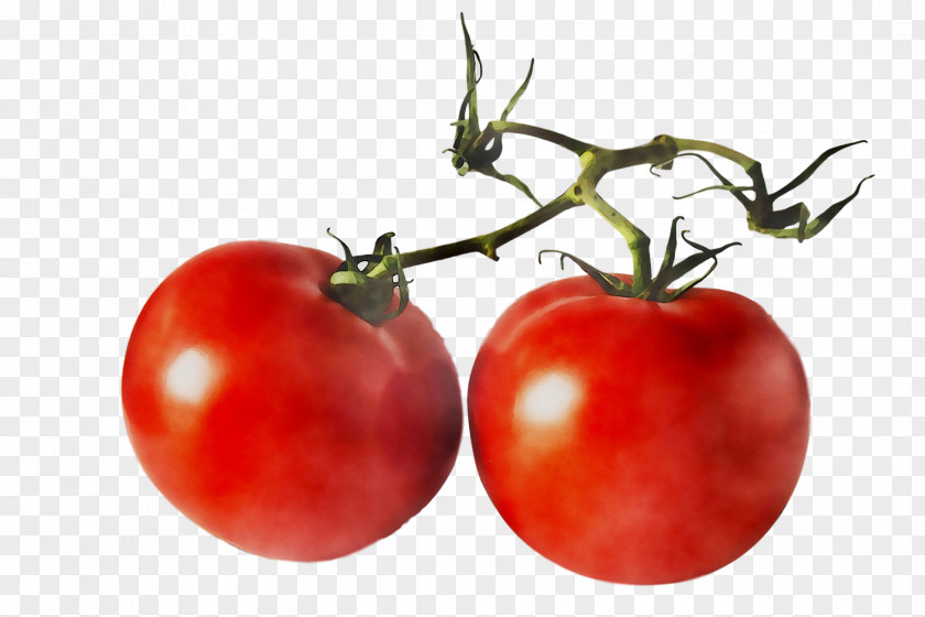 Tomato Stock Photography Food Vegetable PNG