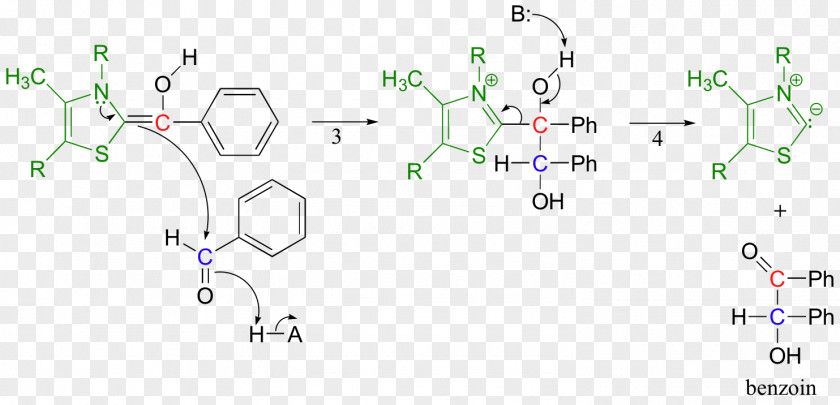 Biochemical Thiamine Pyrophosphate Dietary Supplement Benzaldehyde Benzoin PNG