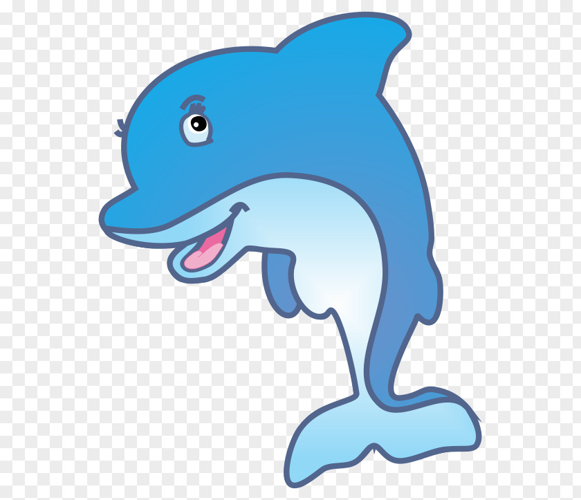 Dolphins Common Bottlenose Dolphin Pre-school Education Child PNG