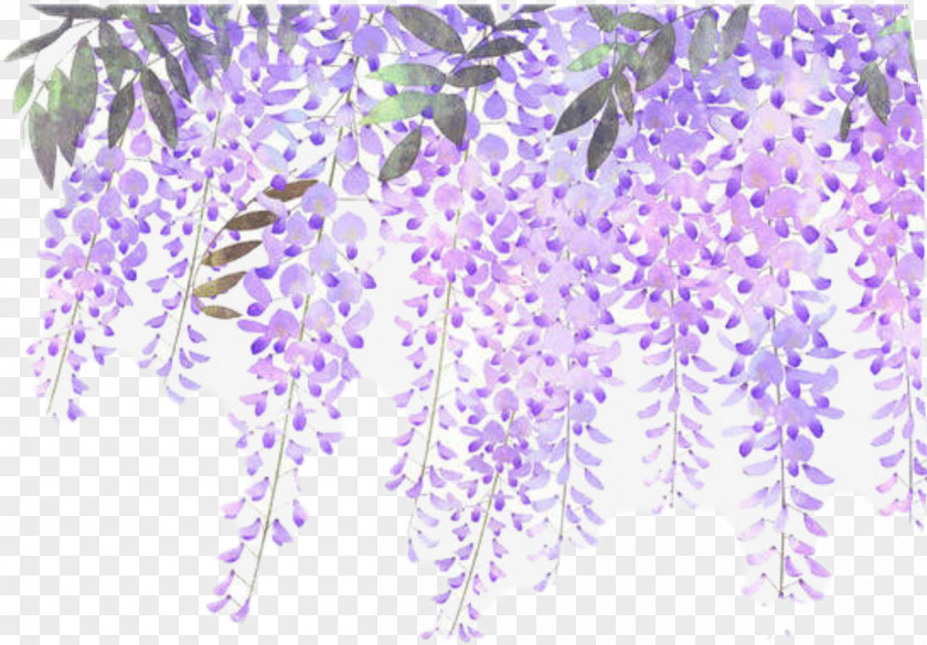 Flower Lavender Purple Floral Design Clip Art PNG