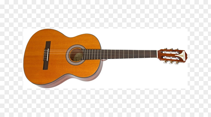 Guitar Epiphone PRO-1 Acoustic Classical Musical Instruments PNG